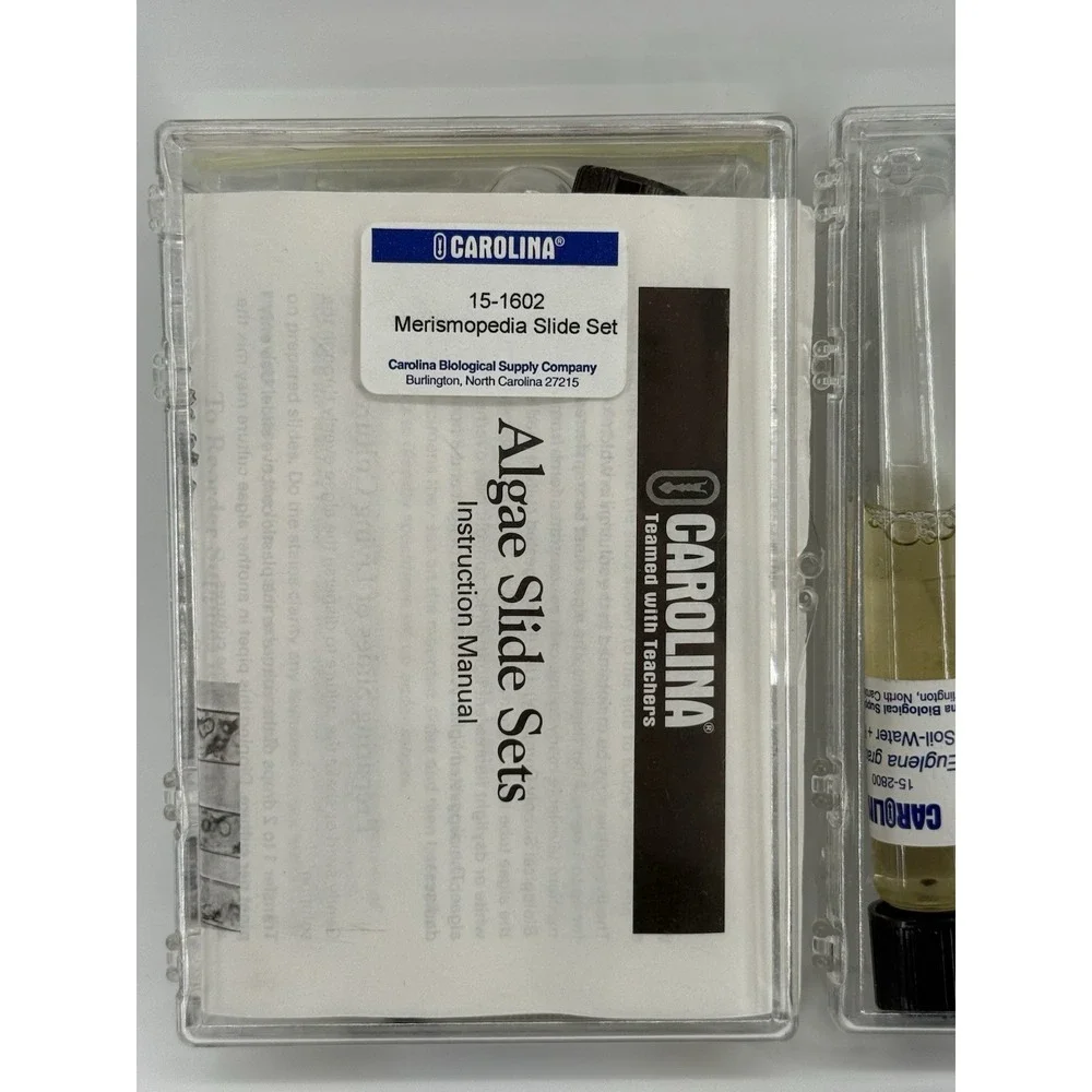Carolina‎ Euglena & Merismopedia Algae Microscope Slide Set w/ Observation Gel